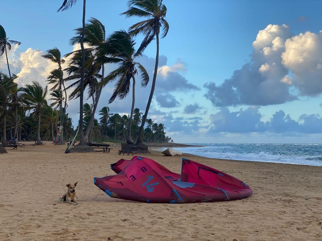Cabarete Maravilla Eco Lodge Boutique Beach Surf Encuentro, Kite, By Aa Crypto Group Exterior photo