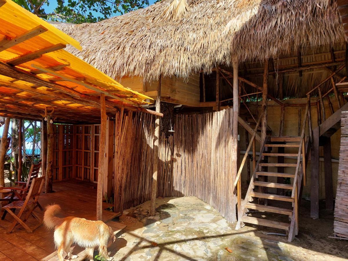 Cabarete Maravilla Eco Lodge Boutique Beach Surf Encuentro, Kite, By Aa Crypto Group Exterior photo