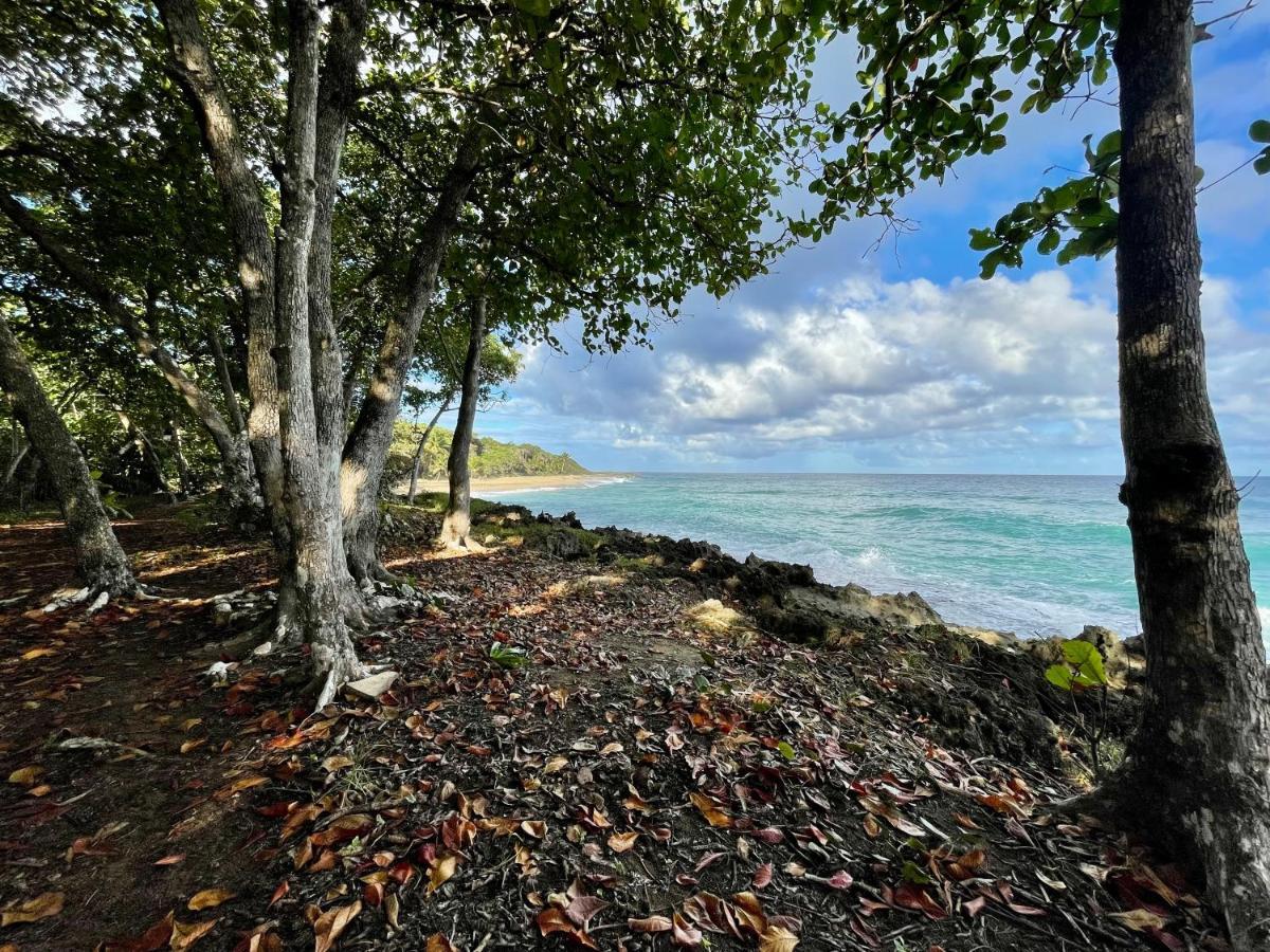 Cabarete Maravilla Eco Lodge Boutique Beach Surf Encuentro, Kite, By Aa Crypto Group Exterior photo