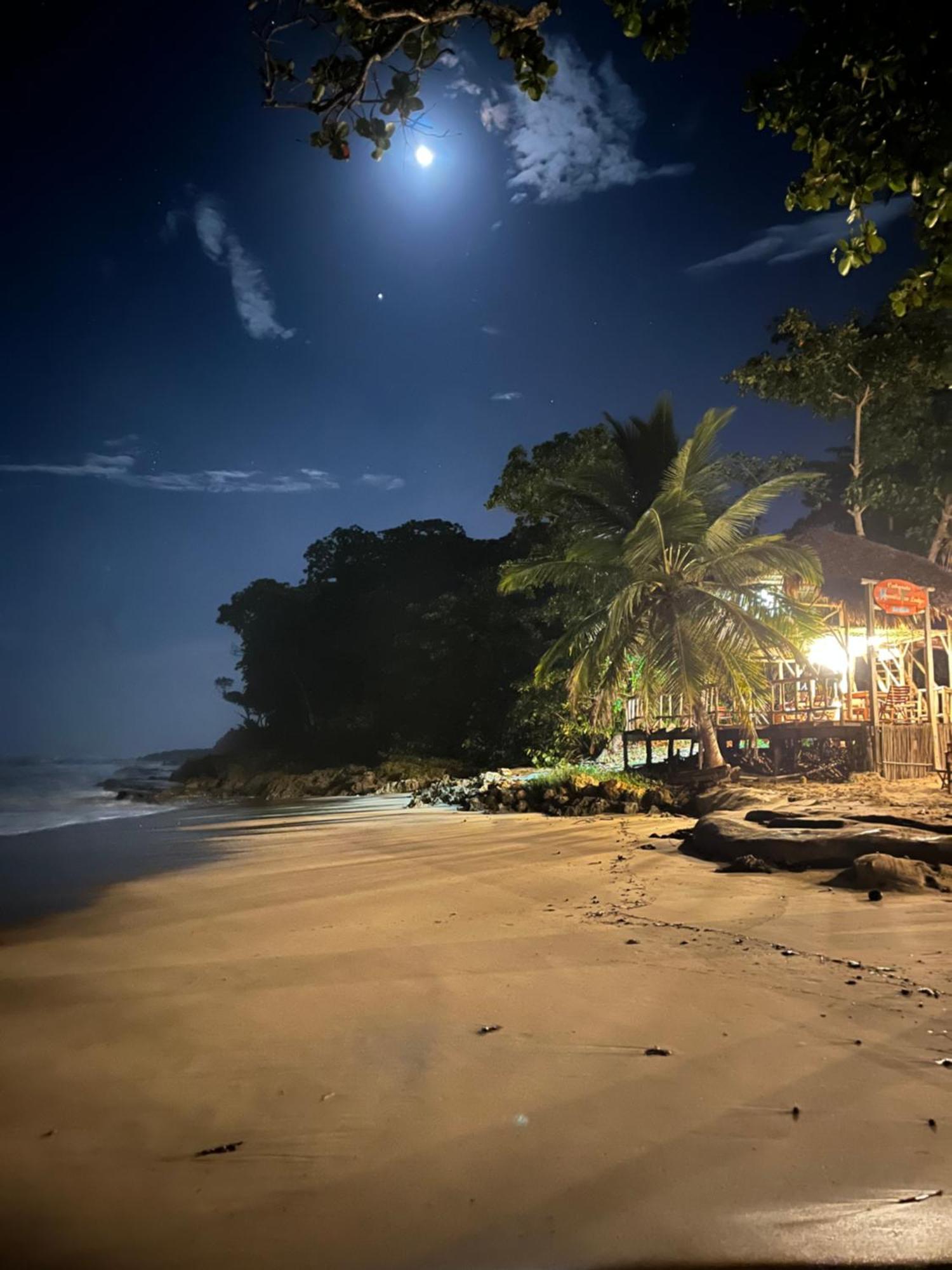 Cabarete Maravilla Eco Lodge Boutique Beach Surf Encuentro, Kite, By Aa Crypto Group Exterior photo