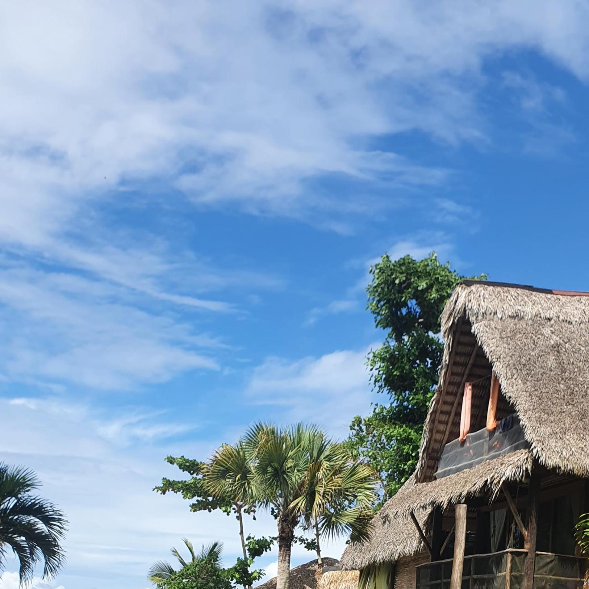 Cabarete Maravilla Eco Lodge Boutique Beach Surf Encuentro, Kite, By Aa Crypto Group Room photo